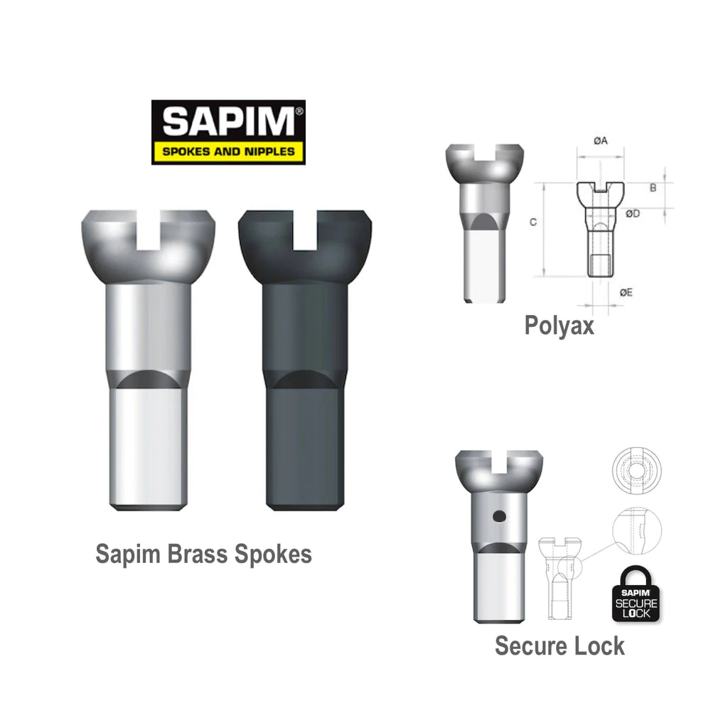 Sapim Components & Spares Sapim Polyax Spoke Nipple 2 x 14mm | Brass Black SKU: GMPO1401400ZA--- Barcode: 